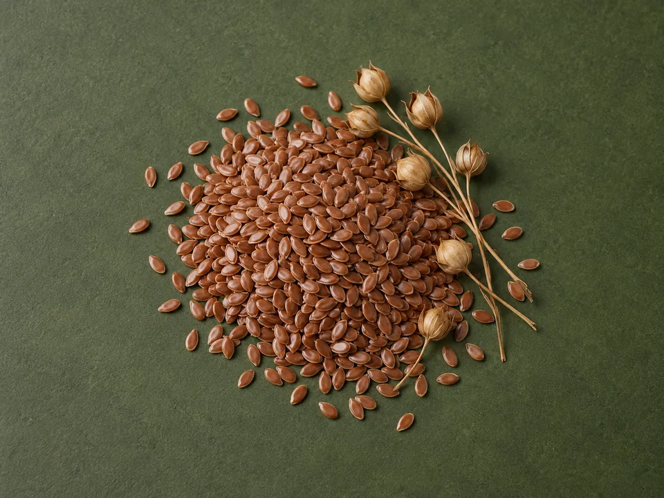 Flaxseed