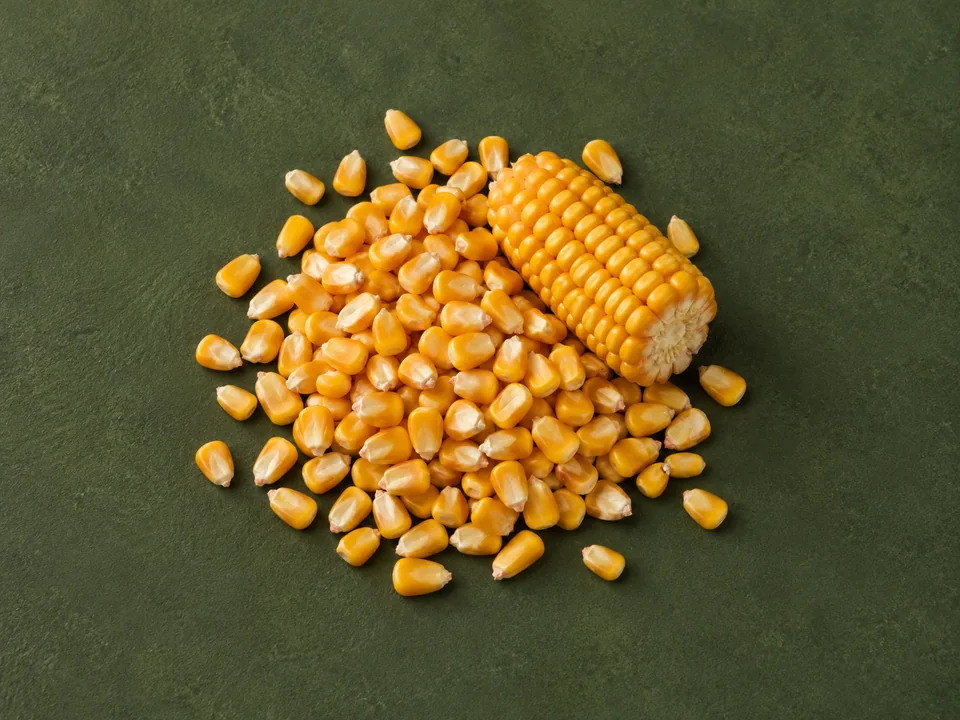 Maize