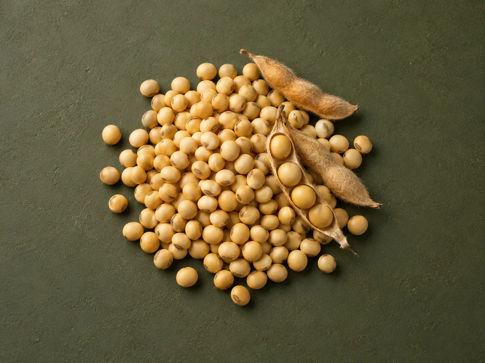 Soybeans