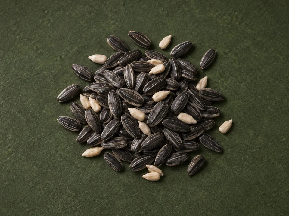 Sunflower seeds